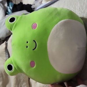 Wendy the Frog Squishmallow